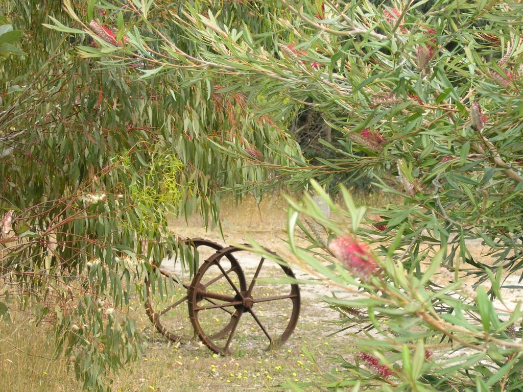Ellensbrook Cottages Cowaramup Экстерьер фото